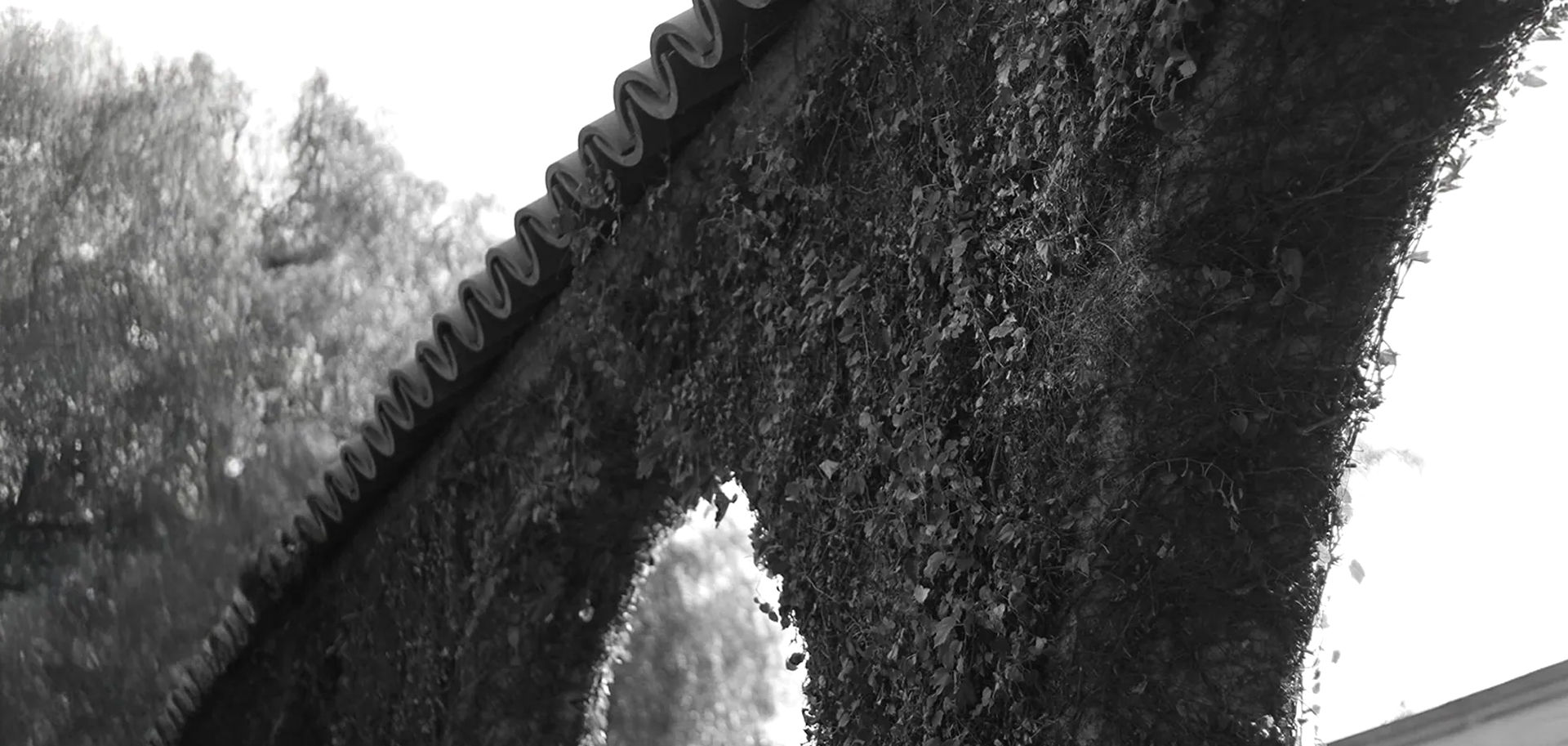 natural rubber deodrant